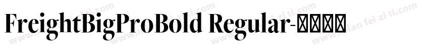 FreightBigProBold Regular字体转换